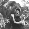 Still of Charlize Theron in Mighty Joe Young