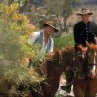 Rabbit-Proof Fence