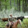 Still of Kevin Costner in Open Range