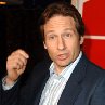 David Duchovny at event of Fun with Dick and Jane