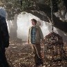 Still of Freddie Highmore in The Spiderwick Chronicles