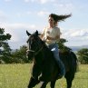 Still of Alison Lohman in Flicka